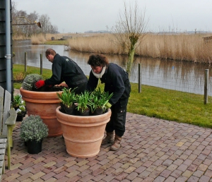 Tuinonderhoud - De Goede Tuinen