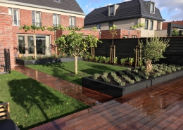 Moderne tuin-1-7212