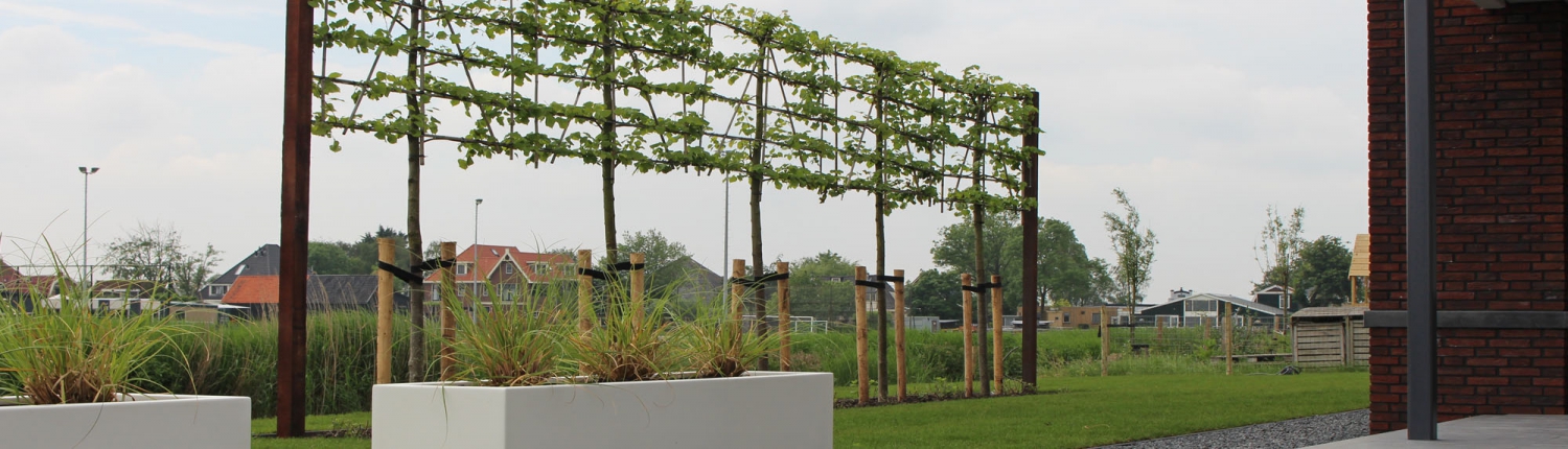 Moderne tuin in Assendelft met strakke lijnen -1366